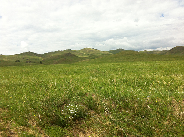 Antoshina.com IMG_5689